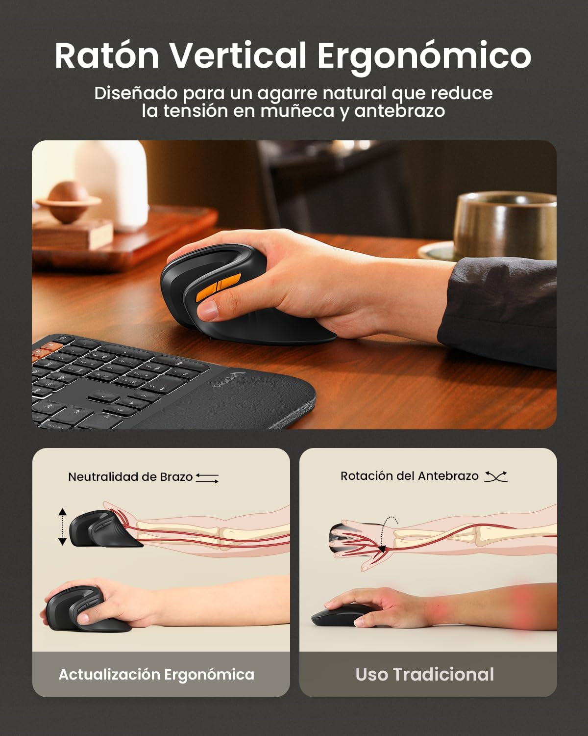 Protoarc Ratón Ergonómico, EM11 NL Inalámbrico Mini Vertical Ratón Óptico Recargable Con 3 Puertos De Dispositivo (2*Bluetooth Y USB), 3 Dpi Ajustables Para Ordenador Mac Windows